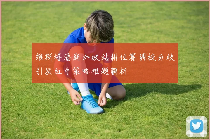 维斯塔潘新加坡站排位赛调校分歧引发红牛策略难题解析